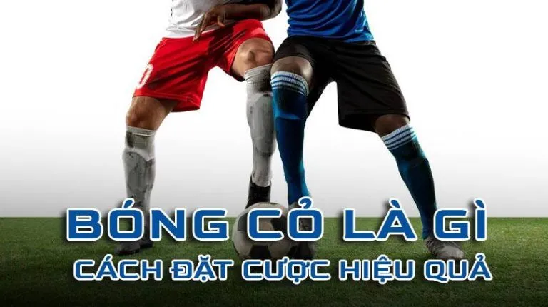 Tìm hiểu về bóng cỏ là gì là nhu cầu của nhiều người hiện nay