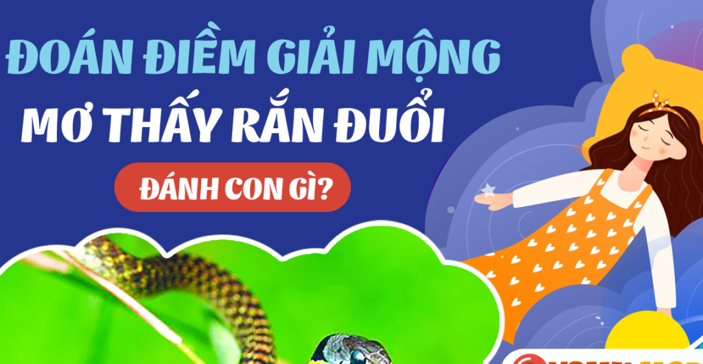 Luận giải điềm báo khi ngủ mơ thấy rắn đuổi