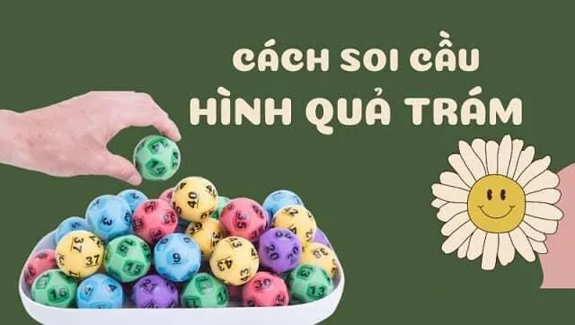 Soi cầu quả trám thông qua kết quả các giải G4, G1, G6